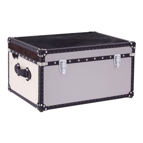 metal trunk box wholesale|metal storage chests and trunks.